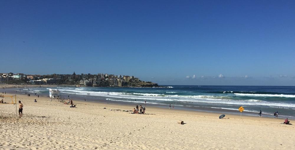 얼티밋 아파트먼트 본다이 비치 Bondi Beach 외부 사진