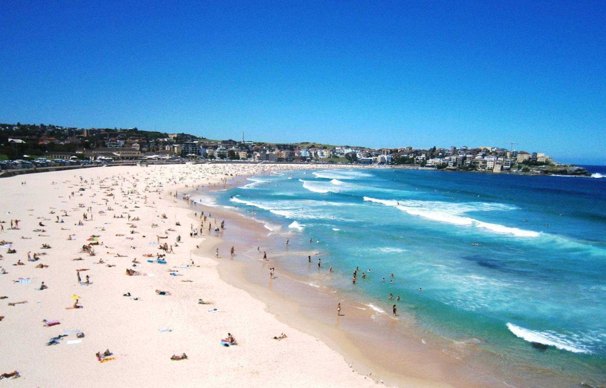 얼티밋 아파트먼트 본다이 비치 Bondi Beach 외부 사진